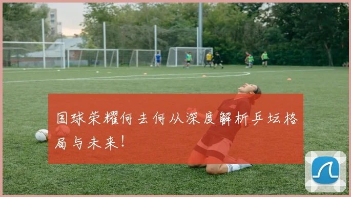 国球荣耀何去何从深度解析乒坛格局与未来！