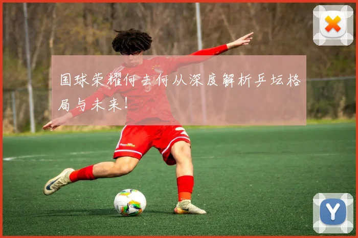 国球荣耀何去何从深度解析乒坛格局与未来！