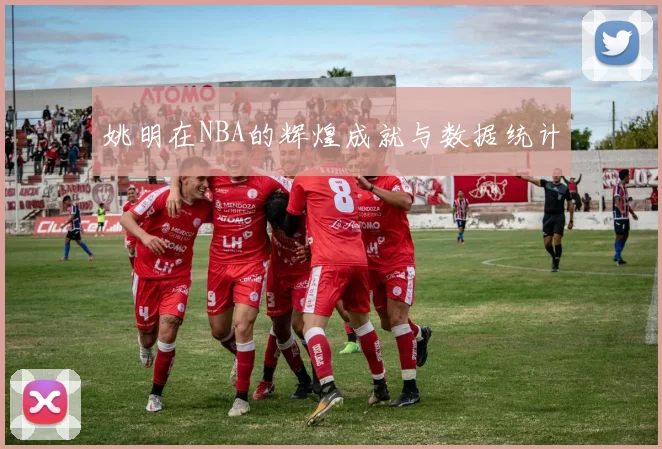 姚明在NBA的辉煌成就与数据统计