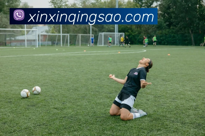 平台使命图